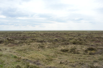 Fototapeta premium Nordseeküste