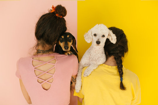 Portrait of anonymous women with their cute dogs