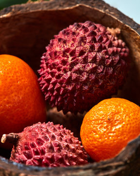 Close-up, macro photo of tropical lytchi and kumquat fruits in coconut shell. Soft focus