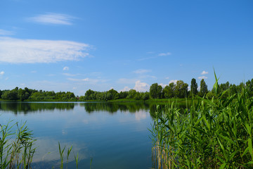 Very beautiful view of the lake near nature. Summer landscape.