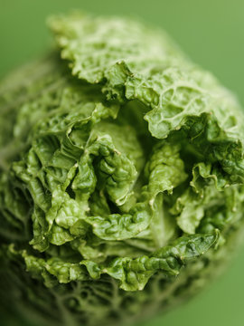 Close-up of cabbage leaves