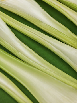 Fresh sticks of celery in composition
