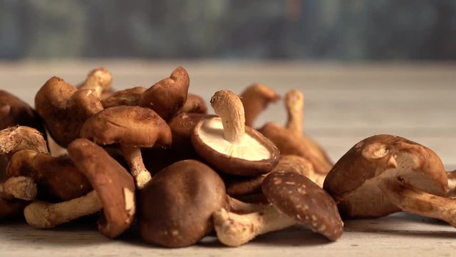 Slide to right and turning view of fresh Shiitake mushrooms on a wood board and blue background.