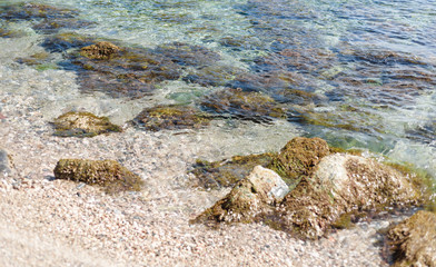Obraz premium background of transparent sea water and bottom, with stones and waves