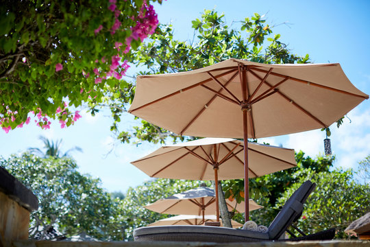 Lounge chairs by the pool on a sunny holiday