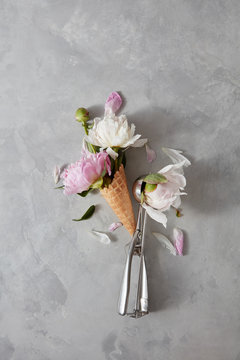 Beautiful flowers white and pink peonies with a spoon of ice cream and a waffle cup on a ligt gray background.