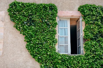 Reportage photo our l'office du tourisme de la Vall&eacute;e de Loire et du Cher