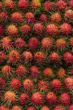 Rambutan Fruit Pile