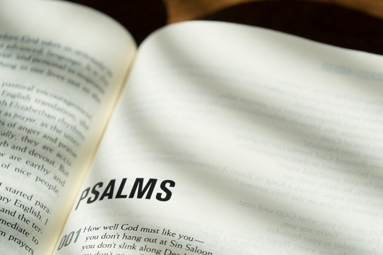 Psalms Open Bible