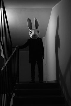 Creepy rabbit on stairs