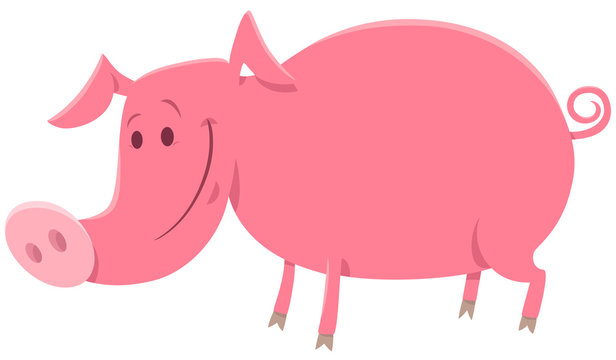 pig or piglet animal character cartoon illustration
