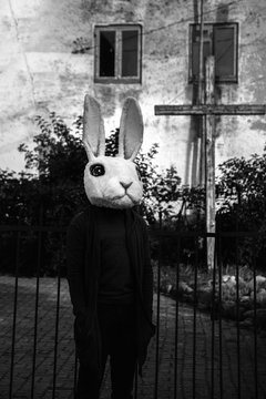 Terrifying rabbit at church