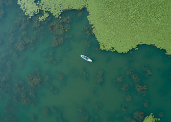 Paddlesurf in the lake