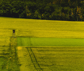 Sommerlandschaft