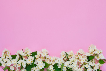 Fototapeta na wymiar Jasmine, Philadelphus or mock-orange flowers border on pink background. Copy space, top view. Greeting card.