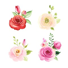 Set of floral decors with colorful flowers roses, green leaves and buds, vector illustration in watercolor style for your design.
