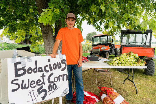Young Farmer Selling Corn at the Side of a Country Road