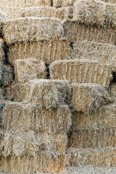 Haystack