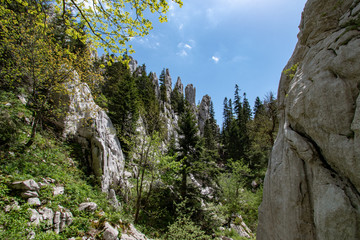 Bijele stijene (White Rocks) is a nature reserve in Croatia famous for its amazing topography. Karst rock formations similar to the stone forest (e.g. Shilin, China) with hundreds of rock pillars.