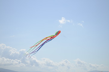Obraz na płótnie Canvas kite in the sky