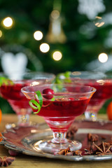 Christmas cranberry cocktail