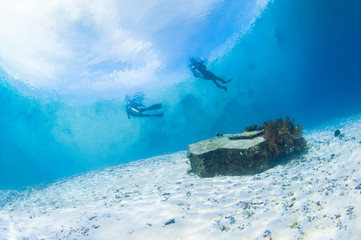 Scuba Divers on the Surface