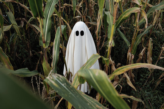 Ghost n corn
