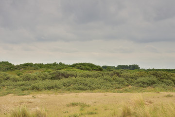 Pochmurny dzień nad nadmorskimi wydmami