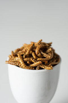 fried worms