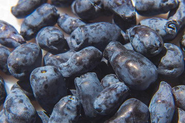 freshly ripened blue honeysuckle