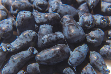 freshly ripened blue honeysuckle