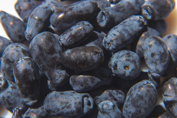 freshly ripened blue honeysuckle