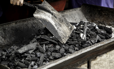 Carbon coals