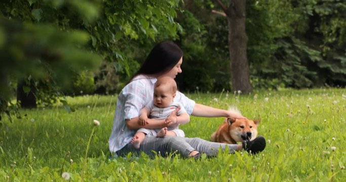 Young family spending time in park on picnic. Smiling baby boy looking at the Shiba Inu dog.