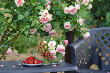 A beautiful garden with blooming roses, tasty wild strawberries and a chair.