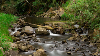 stream in the forest