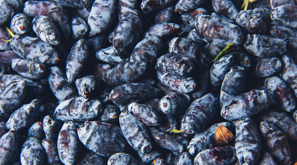 Basket of fresh ripe honeysuckle berries, selective focus