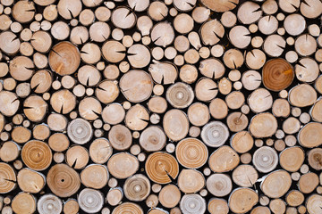 Circles of wood