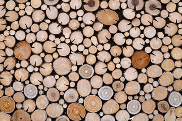 Circles of wood