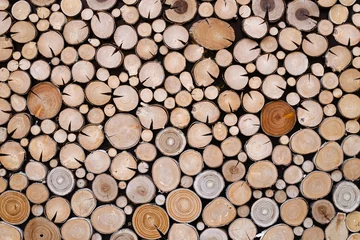 Möbelaufkleber Kreise aus Holz © Ragnar