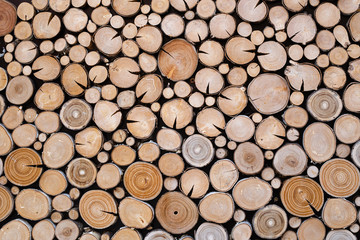 Circles of wood