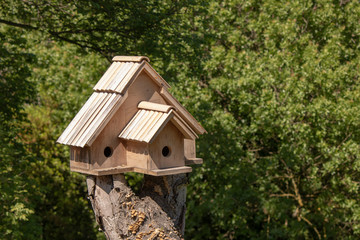 Wooden birdhouse on the tree. Cut on the tree. Trees in the back.