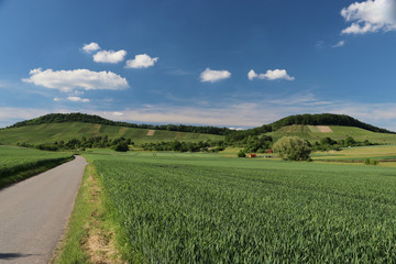Am Wunnenstein, Bottwartal