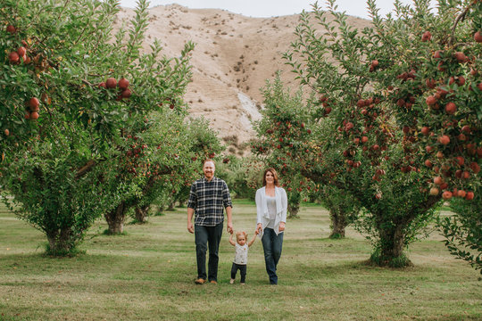 Happy Family Walking in Apple Orchard
