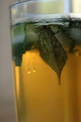 Ice tea with mint in golden hour