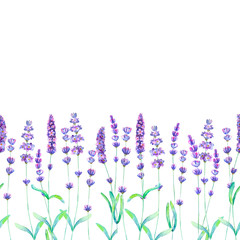 Lavender flowers, leaves and branches watercolor seamless pattern on white background