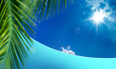 Fototapeta na wymiar close up green palm tree leaf and textured empty blue wall over sunny blue sky with sunbeam