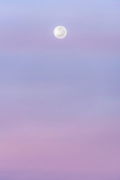 Moon At Purple Daybreak