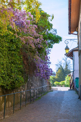 Old narrow street in Annecy, France. Beautiful lilac wisteria and street lantern. 