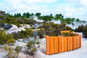 View of colorful steaming volcanic Champagne pool in geothermal Wai-O-Tapu wonderland in Rotorua,...